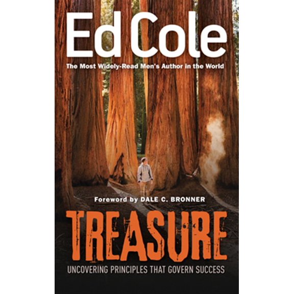 Pre-Owned Treasure: Uncovering Principles That Govern Success: Uncovering Principles That Govern Success (Reissue) Paperback