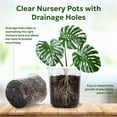 thumbnail image 3 of 1 Gallon Reinforced Clear Nursery Pots with Drainage Hole 10 Packs, 6.7 Inch Transparent Pots Plastic Plant Pot Seedling Planter, 3 of 7