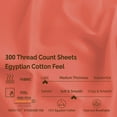 thumbnail image 4 of BNM 300 Thread Count Egyptian Cotton Sheet Set, King, Coral, 4 of 6