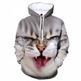 thumbnail image 3 of Sudadera con capucha con estampado 3D de gato divertido y lindo más nueva, ropa informal para hombre y mujer, ropa de calle con capucha de gato y animal, moda Harajuku y2k, 3 of 5