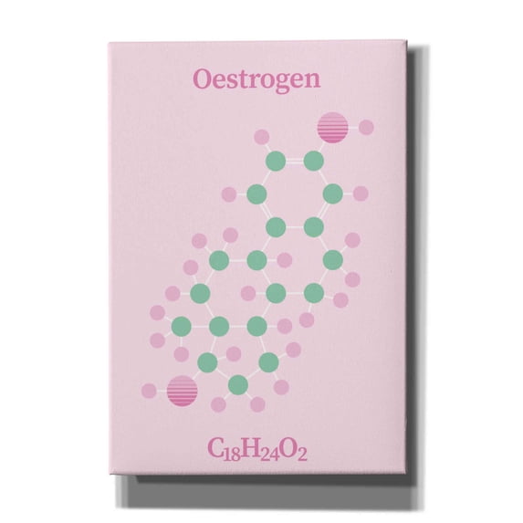 Epic Graffiti 'Oestrogen Molecule 2' by Epic Portfolio, Giclee Canvas Wall Art, 18"x26"
