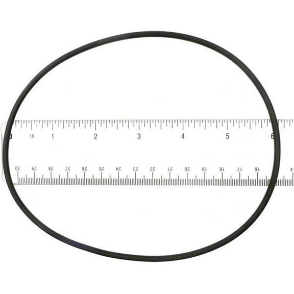 ALA-PT APCO2193 Replacement Swimquip O-Ring