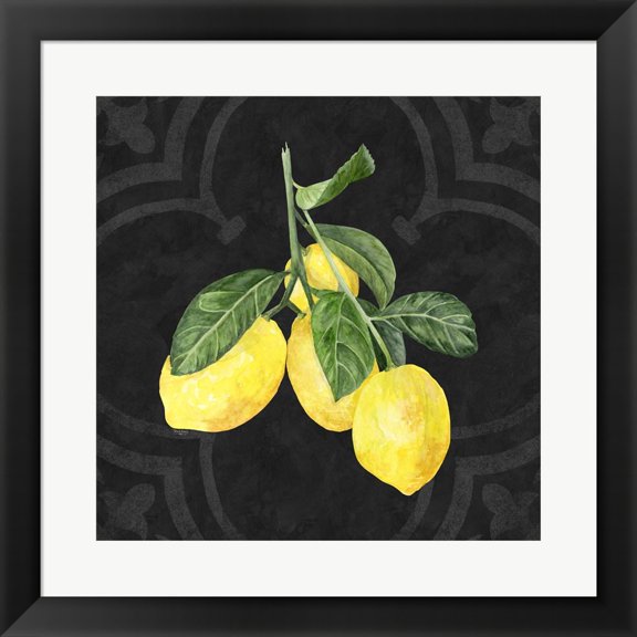 Great Art Now Live with Zest I by Tara Reed, Framed Wall Art, 19.5W x 19.5H