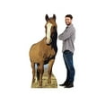 thumbnail image 4 of Horse, 4 of 5