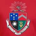 thumbnail image 3 of CafePress - Delta Tau Delta Coat Of Arms T Shirt - Men's Fitted T-Shirt, 3 of 4