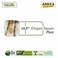 thumbnail image 2 of 10" Elegant Sqaure Dinner Leaf Plate|Bio Mart Tableware | Natural, Eco-friendly,Reusable, backyard Compostable, Disposable, Biodegradable | Theme Birthday, Wedding, BBQ Plate Pack of 10,50 or 100, 2 of 4