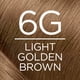 thumbnail image 5 of Color de cabello L'Oréal Paris Excellence Crème 6G Marrón dorado claro, 5 of 7