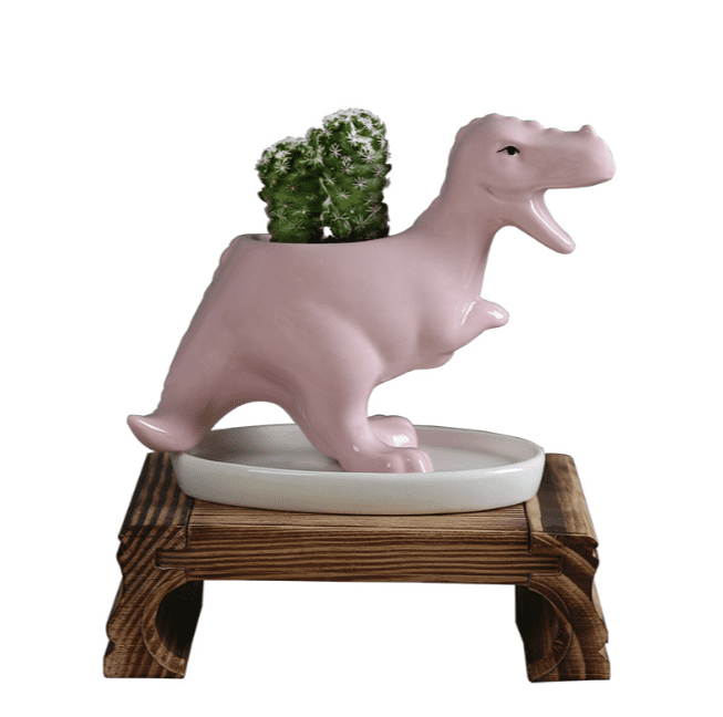 Ceramic Dinosaur Planter with Succulent main image 1