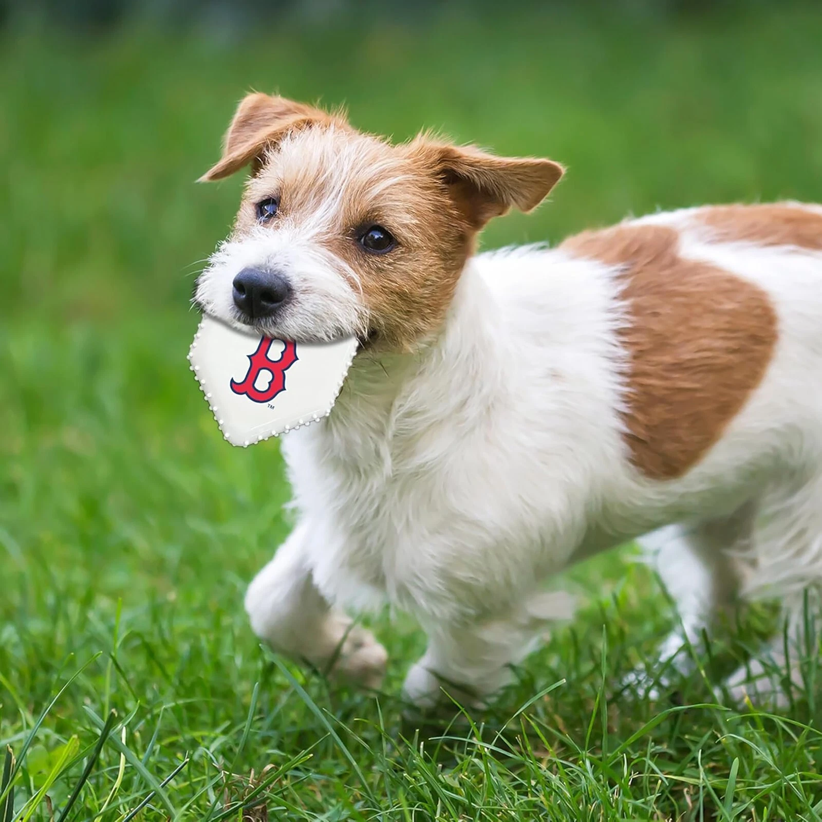 Pets First MLB Baseball Home Plate Dog Chew Toys for Aggressive Chewers