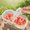 Double storage box, variant on 1pc Single Opening Double Opening Food Fruit Refrigerator Fresh Storage Box, Transparent Dust-Proof Fresh Keeping Easy to Clean Reusable, Portable Picnic Outdoor Fruit Storage Box