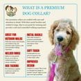 thumbnail image 3 of Country Brook Petz® Premium Nylon Dog Collar with Metal Buckle for Small Medium Large Breeds (Small, 3/4 Inch, Fuchsia), 3 of 4
