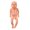 boy doll, variant on 3D Pediatric Acupoint Learning Model with Clear Labels for Study