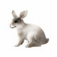 thumbnail image 1 of Toy Doll Rabbit modelo para juguetes educativos infantiles, 1 of 2