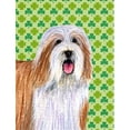 thumbnail image 1 of Collier Barbu St. Patricks Jour Shamrock Portrait Drapeau Jardin Taille, 1 of 1