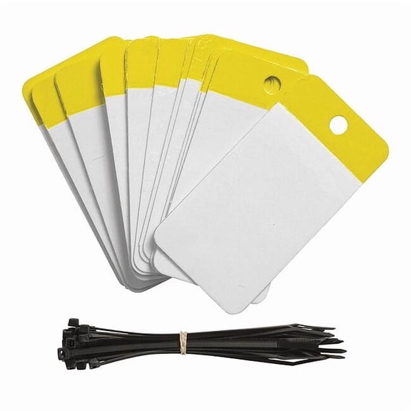 Brady Blank Tag,Polyester,Colored,PK25 102010