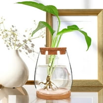 HOMEMAXS HOMEMAXS 1 Set Hydroponic Terrarium Glass Planter Bottle Clear Plant Holder with Lid for Moss Display