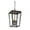 English Bronze, variant on Milton 4-Light Outdoor Hanging Lantern in English Bronze