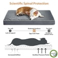 thumbnail image 3 of Cama ortopédica para perros WNPETHOME para perros grandes, impermeable, XL, 3 of 6