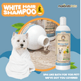 Dog Whitening Shampoo for Dogs with White / Light Colored Hair / Coat / Fur. White Haired Pets