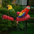 thumbnail image 3 of Holzlrgus Parrot Perch Stand, U Shape Quartz Sands Bird Stick Cages Accessories Paw Grinding Rough-surfaced Bird Perches for Parakeets,Cockatiels, Parrots, Conure (Small-Red), 3 of 7