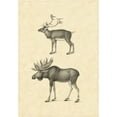 thumbnail image 2 of Vision Studio 11x14 Black Ornate Wood Framed with Double Matting Museum Art Print Titled - Vintage Elk, 2 of 4