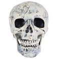 thumbnail image 1 of Calavera de Halloween de aspecto realista, cabeza de esqueleto para decoración de mesa o bar en casa., 1 of 7