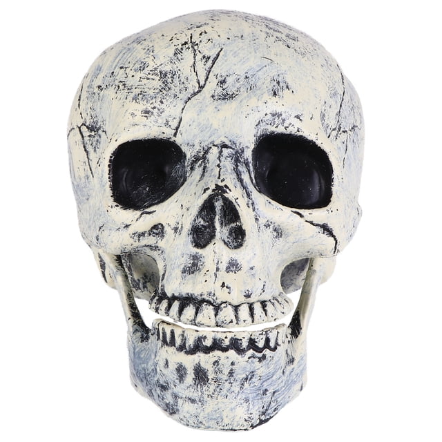 Calavera de Halloween de aspecto realista, cabeza de esqueleto para decoración de mesa o bar en casa.