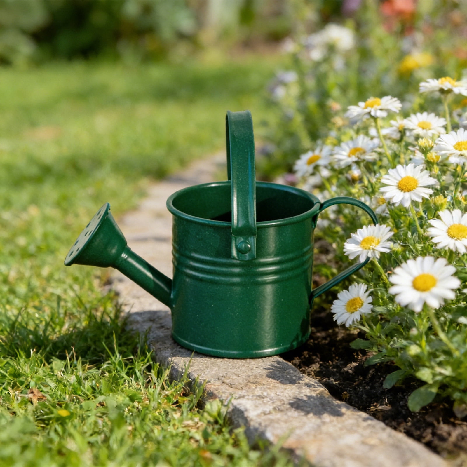 Tusihei Mini Watering Can, Small Cute Iron Watering Can with Sprinkler Head and Handle, Durable Portable Decorative Sprinkling Can for Gardening Succulents Houseplants Bonsai
