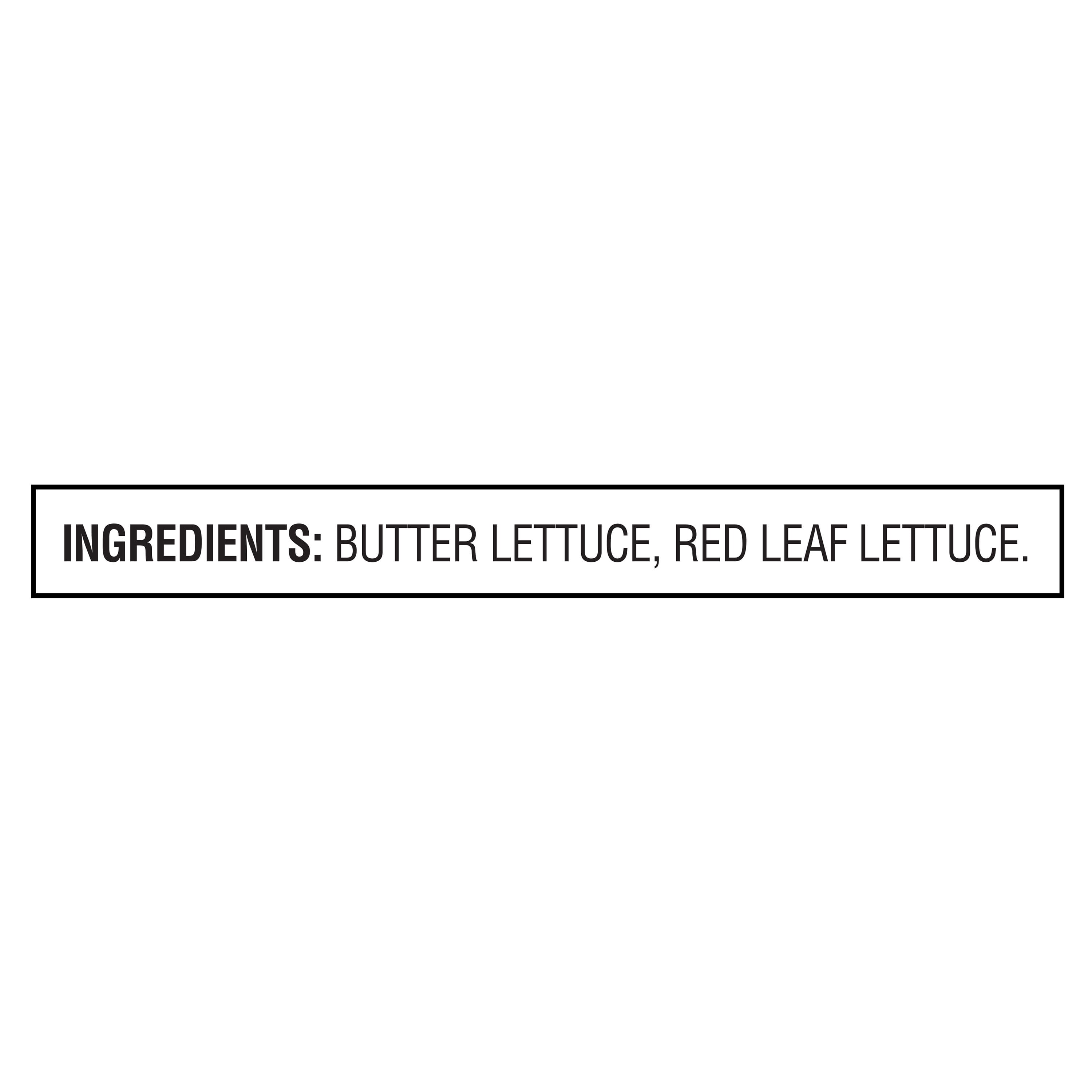 Marketside Butter Lettuce Salad Blend, 6 oz Bag