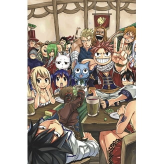 FAIRY TAIL Anime Manga Box Set 1 (Series #1) (Paperback) - Walmart.com