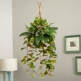 thumbnail image 5 of Nearly Natural Mixed Pothos and Boston Artificial Fern in Hanging Basket, 5 of 6