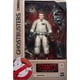 thumbnail image 5 of Figura de acción Original de Ghostbusteres, modelo coleccionable de la Serie de Plasma 1984, barvet Gozer, Terror Dog, Baf Wave, Venkman Stantz, 5 of 5