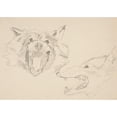 thumbnail image 3 of John Singer Sargent 18x14 Black Modern Framed Museum Art Print Titled - Two Views of a Wolf's&nbsp;Head, 3 of 5