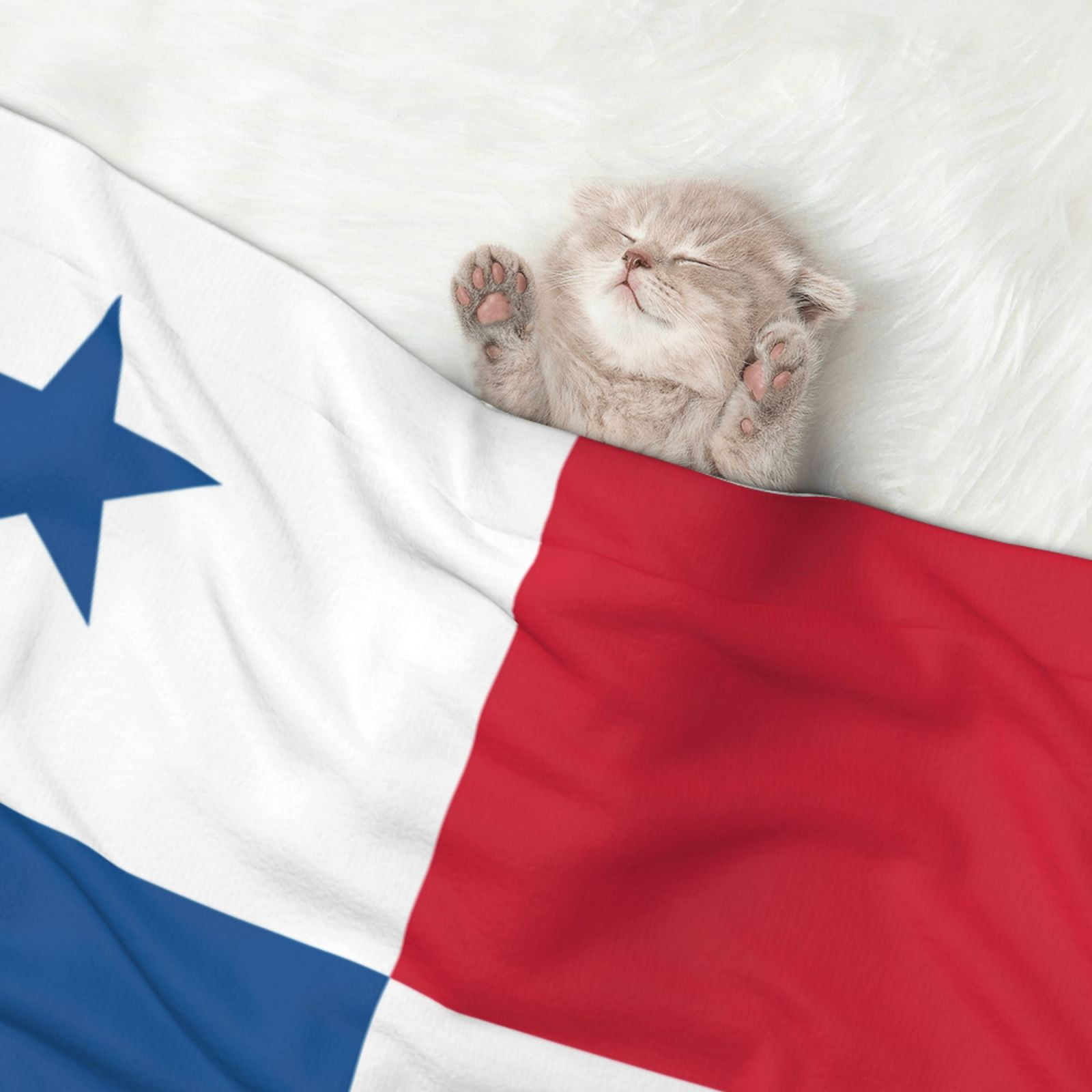Flannel Throw Dog Blanket Flag Of Panama Soft Warm Print Pet Blankets for Small Dog Cat Puppy
