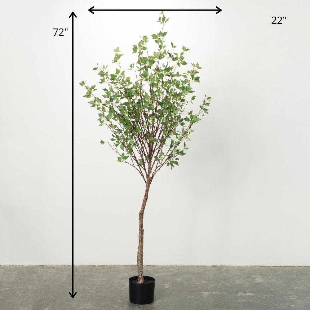 Sullivans 6'H Mountain Leaf Tree, Green