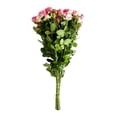 thumbnail image 1 of Bouquet de rosas spray 10 tallos, 1 of 1