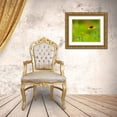 thumbnail image 3 of Pryor, Maresa 32x26 Gold Ornate Wood Framed with Double Matting Museum Art Print Titled - Butterfly garden at the Willows trail-Anahuac National Wildlife Refuge-Texas, 3 of 4