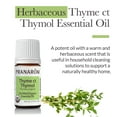 thumbnail image 2 of Pranarom - Thyme ct Thymol Essential Oil 5ml - Wellness Enthusiasts - Diffusing for Relaxation Therapy - Premium Organic Quality - 100% Pure, Certified Organic Thymus vulgaris ct thymol from Spain, 2 of 4