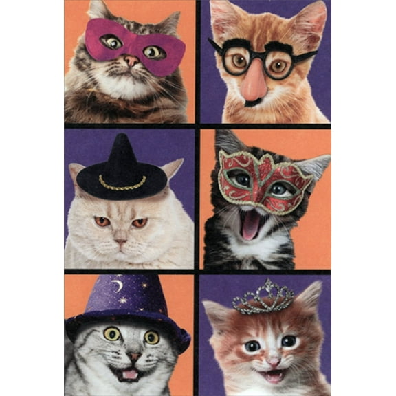 Recycled Paper Greetings Six Cats Halloween Card