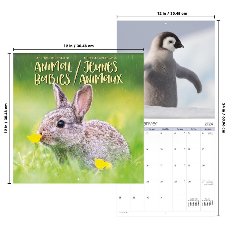 2024 Animal Babies Wall Calendar - 12\"x12\", Monthly Pages With Cute Baby Animal Photos