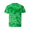 thumbnail image 2 of Dyenomite 20BPR Youth Pawprint Tee, Kelly - Medium, 2 of 3