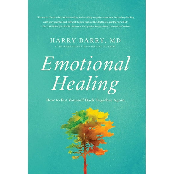 Emotional Healing : How to Put Yourself Back Together Again (Hardcover)
