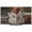 Brown, Cream, White, Grey, variant on TV Cover Indoor, Cute Puppy Stretch TV Dust Cover Television Screen Protector, Funny Dogs Reading Newspaper Toilet Elastic Polyester Display Covers, Monitor Slipcover for LED LCD TVs 24 Inch