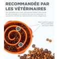 thumbnail image 2 of Comedero lento para perros Orange L Fun Feeder Slo-Bowl - Comedero lento anti-tragantamiento para perros - Tamaño, 2 of 5
