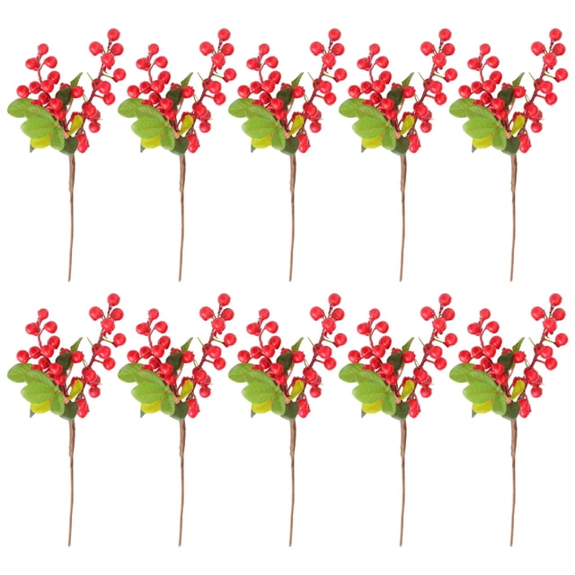 Cateissary 10x bayas artificiales de larga duración para decoración de pasteles línea suave y plantas anticorrosión Decoración Rojo 25cm