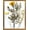 Bronze, variant on , Floating Picture Frame 11x14 - Black Aluminum Metal Photo Frame - Real Glass of Front - for Wall Mount Displays