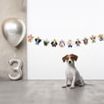 thumbnail image 4 of fastboy Happy Birthday, Dog and Pet! Flag and Card Insertion, 4 of 9