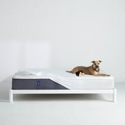 Casper Sleep Waterproof Fitted Mattress Protector, Queen