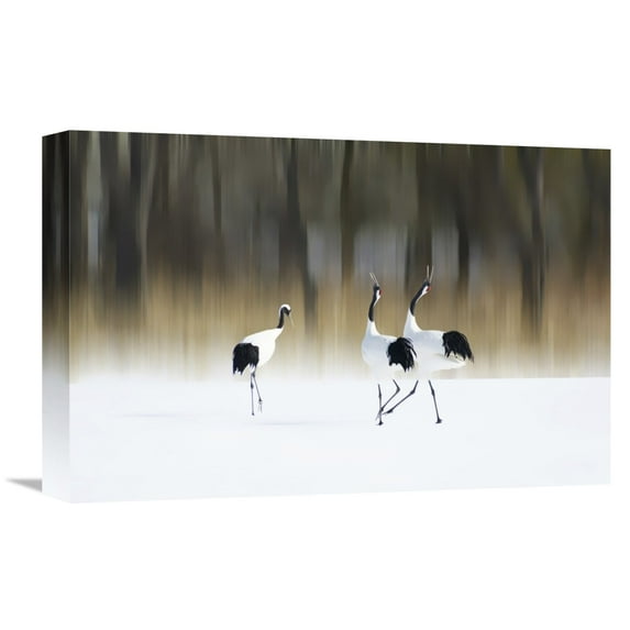 Global Gallery Ikuo Iga,'Sing A Song Of Love' Stretched Canvas Artwork