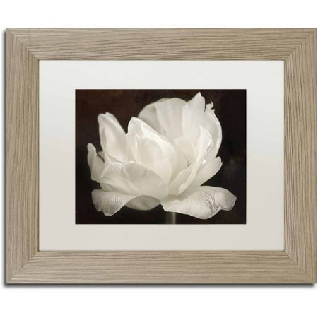 3 Arm Tulip - Trademark Fine Art 'White Tulip III' Canvas Art by Cora Niele, White Matte, Birch Frame